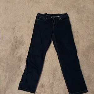 Banana Republic Navy Straight Leg Jeans